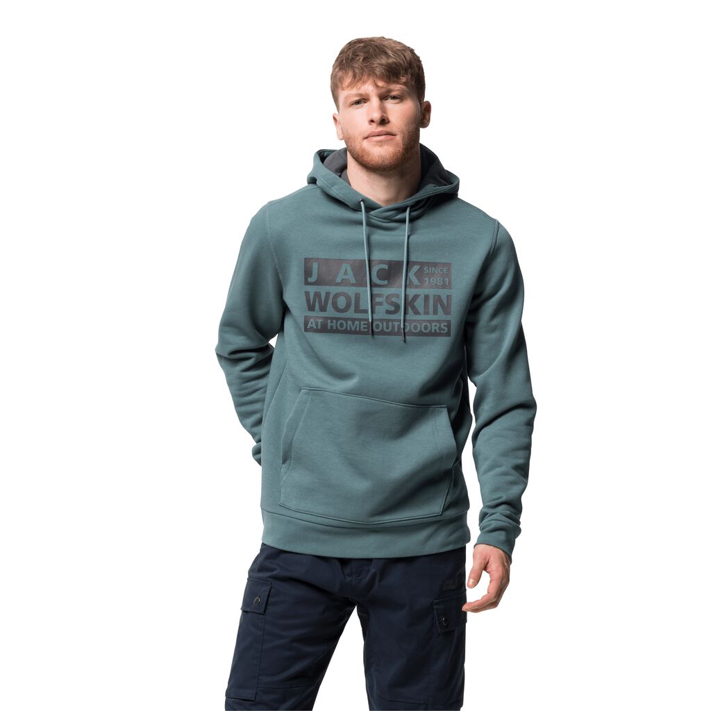 Jack Wolfskin BRAND HOODY φούτερ ανδρικα ανοιχτο πρασινο | GR5398100